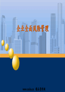 企业全面风险管理(ppt99页)