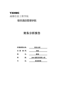 国美电器财务分析报告
