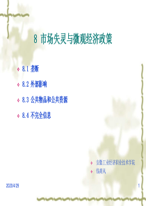 经济学基础-第八章-市场失灵与微观经济政策