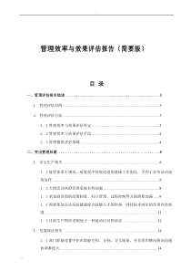 管理效率与效果评估报告