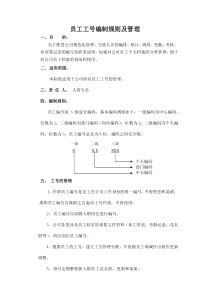 员工工号编制规则及管理