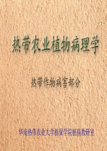 热带作物病理学教学多媒体课件