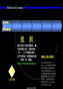 麦肯锡培训手册2