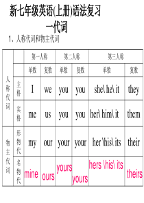 新七年级上英语语法和练习复习