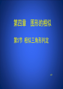 4.5.1《相似三角形判定定理的证明》]