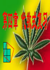 七年级数学上：第四章代数式复习课件浙教版