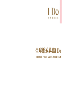 IDO品牌介绍资料2010-12-15