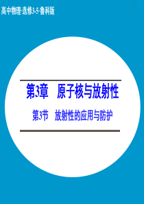 【创新设计】2014-2015学年高二物理鲁科版选修3-5课件：3.3 放射性的应用与防护 (20张