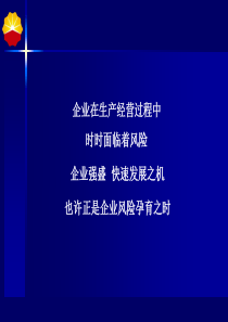 企业在生产经营过程中时时面临着风险(ppt 116页)(1)