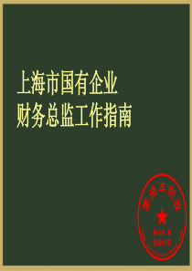 财务总监指南