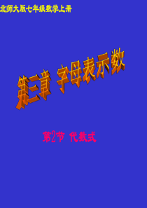 代数式课件