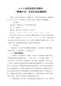 “精确打击”专项行动实施细则