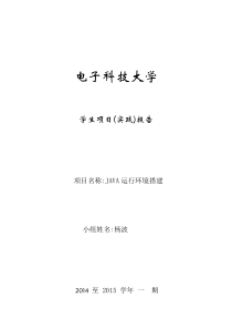 项目实验报告-Java运行环境搭建-杨波