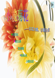 5小榄菊花会ppt