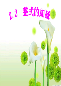 数学七年级上人教新课标2.2整式的加减课件