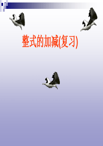 数学七年级上人教新课标第2章整式的加减复习课件