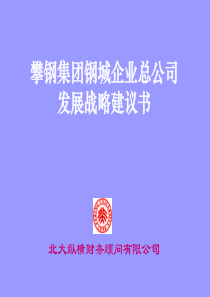 mnXX集团钢城企业总公司发展战略建议书