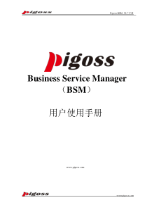 Pigoss BSM V3.2 用户操作手册(PDF)