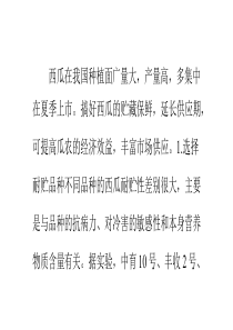 西瓜冷库贮藏保鲜新技术
