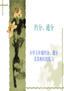 五年级下册数学约分、通分