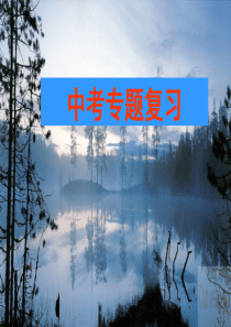 中考语文-语言运用专题复习