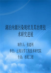 湖泊内源污染治理
