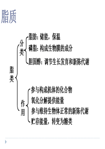 第五节、血脂代谢