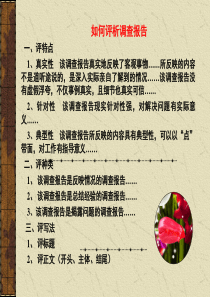 案例：如何评析调查报告