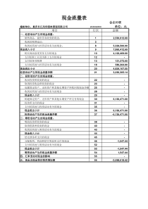 现金流量表模板免费下载