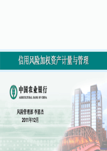 信用风险加权资产CRWA计量与管理