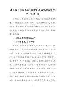 综治管理工作总结