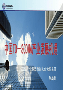 TDSCDMA产业联盟中国TDSCDMA产业发展机遇(1)