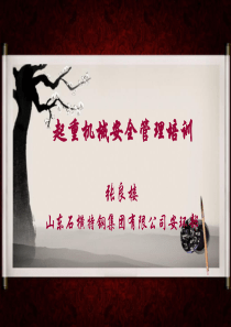 起重机械安全管理培训1