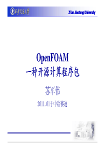 OpenFOAM报告ppt―中冶赛迪2011.01