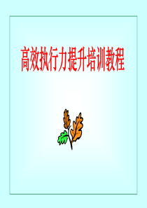 提升执行力培训教程