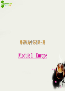 高中英语 Module1《Europe》Grammar课件2 外研版必修3