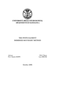 THE FINITE ELEMENT IMMERSED BOUNDARY METHOD Adviso