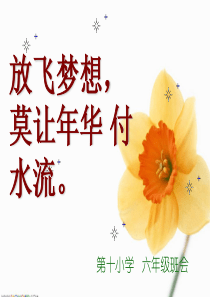 6主题班会--确立远大理想_明确奋斗目标