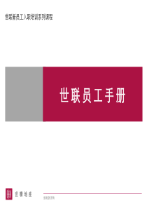 世联地产员工手册