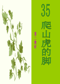 14《爬山虎的脚》ppt课件第二课时[1]