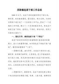 选派干部工作总结