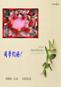 第六章第一节树立社会主义法治理念ppt