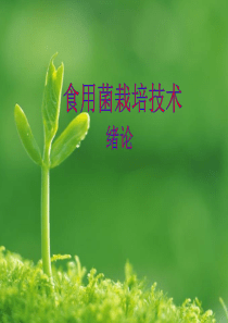 食用菌绪论