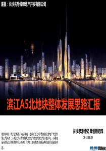 XXXX0623思源经纪滨江A5北地块整体发展思路汇报晚