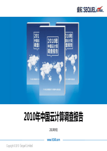 2010年中国云计算调查报告