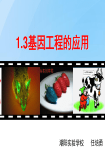 1.3基因工程的应用优质课