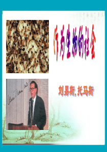 必修五《作为生物的社会》PPT