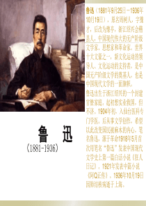 语文17《少年闰土》PPT课件2