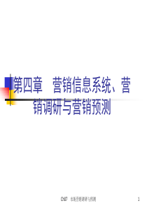 第四章营销信息系统