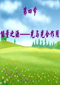 2015第一轮光合作用一轮复习课件